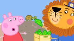 The Zoo