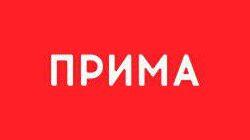 logo of Прима logo of Прима