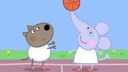 Basketball