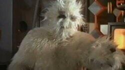 The Abominable Snowman The Abominable Snowman