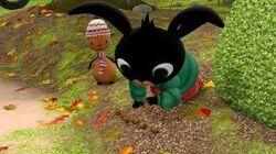 Acorns Acorns