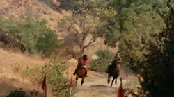 The Horse Race The Horse Race