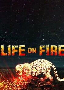 Life on Fire Life on Fire