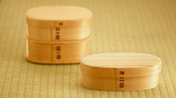 Celebrating Akita Cedar Celebrating Akita Cedar