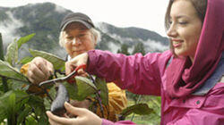 Deep into Traditional Japan - Gokayama Deep into Traditional Japan - Gokayama