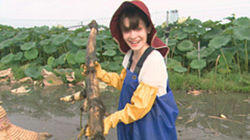 Life on the Lake - Kasumigaura Life on the Lake - Kasumigaura