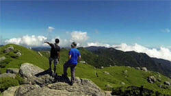 Wonderful Yakushima Wonderful Yakushima
