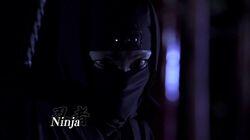 Iga Ninja Forest Iga Ninja Forest