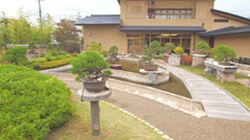The Miniature World of Bonsai - Omiya The Miniature World of Bonsai - Omiya