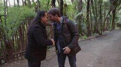 New Zealand: Preying on the Predators New Zealand: Preying on the Predators