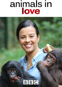 Animals in Love Animals in Love