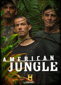American Jungle American Jungle