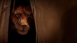 Serial Killer Creatures Serial Killer Creatures