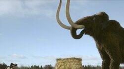 Dino in the Nest / Follow the Mammoth Dino in the Nest / Follow the Mammoth
