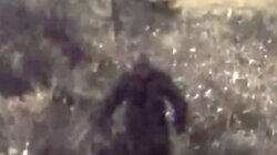 GoPro Captures Bigfoot in Ontario and More GoPro Captures Bigfoot in Ontario and More