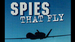 Spies That Fly Spies That Fly