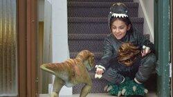 Dinostaurus / Hot and Cold Dino Dinostaurus / Hot and Cold Dino
