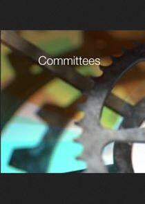 Select Committees Select Committees