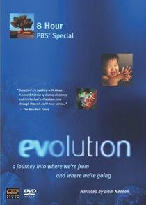 Evolution Evolution