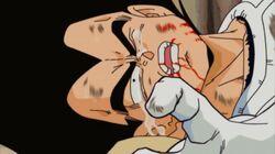 Defeat Freeza, Son Goku! The Proud Vegeta's Tears Defeat Freeza, Son Goku! The Proud Vegeta's Tears