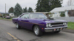 Purple Haze