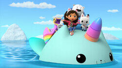 Carlita's Ameowzing Race Carlita's Ameowzing Race