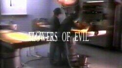 Flowers of Evil Flowers of Evil