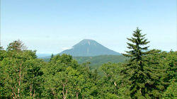 Summer on Mt. Yotei Summer on Mt. Yotei