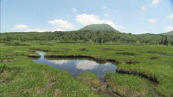 Early Summer in Niseko Early Summer in Niseko