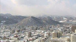 Forests in Sapporo, Winter Forests in Sapporo, Winter