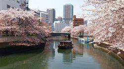 Countdown to 2020: Reviving a City of Water Countdown to 2020: Reviving a City of Water