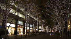 Enjoying Winter in Tokyo Enjoying Winter in Tokyo