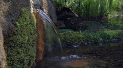 Urban Oasis: Return to the Springs of Tokyo Urban Oasis: Return to the Springs of Tokyo