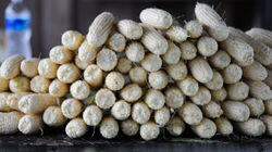 Sweet Corn & Expensive Tea Sweet Corn & Expensive Tea
