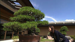 Must-See Tokyo Museums Must-See Tokyo Museums