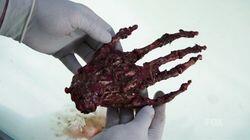 The Mutilation of the Master Manipulator The Mutilation of the Master Manipulator