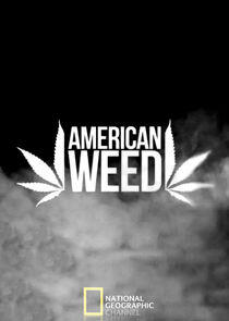 American Weed American Weed