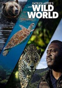 Patrick Aryee's Wild World Patrick Aryee's Wild World