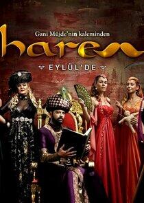Harem Harem