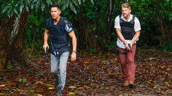 Run, Baby, Run Run, Baby, Run