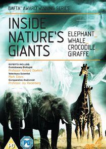 Inside Nature's Giants Inside Nature's Giants