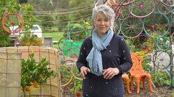 Episode 6 - Autumn: Waterwise pots and bee-inspired art Episode 6 - Autumn: Waterwise pots and bee-inspired art