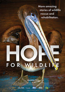 Hope for Wildlife - Season 2 Hope for Wildlife - Season 2