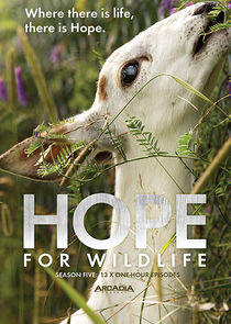 Hope for Wildlife - Season 5 Hope for Wildlife - Season 5