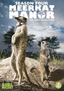 Meerkat Manor - Season 4 Meerkat Manor - Season 4