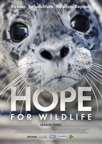Hope for Wildlife - Season 3 Hope for Wildlife - Season 3