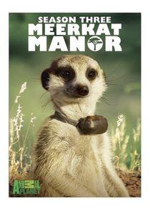 Meerkat Manor - Season 3 Meerkat Manor - Season 3