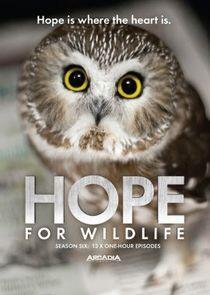 Hope for Wildlife - Season 6 Hope for Wildlife - Season 6