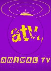 Animal TV Animal TV