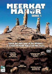 Meerkat Manor - Season 1 Meerkat Manor - Season 1